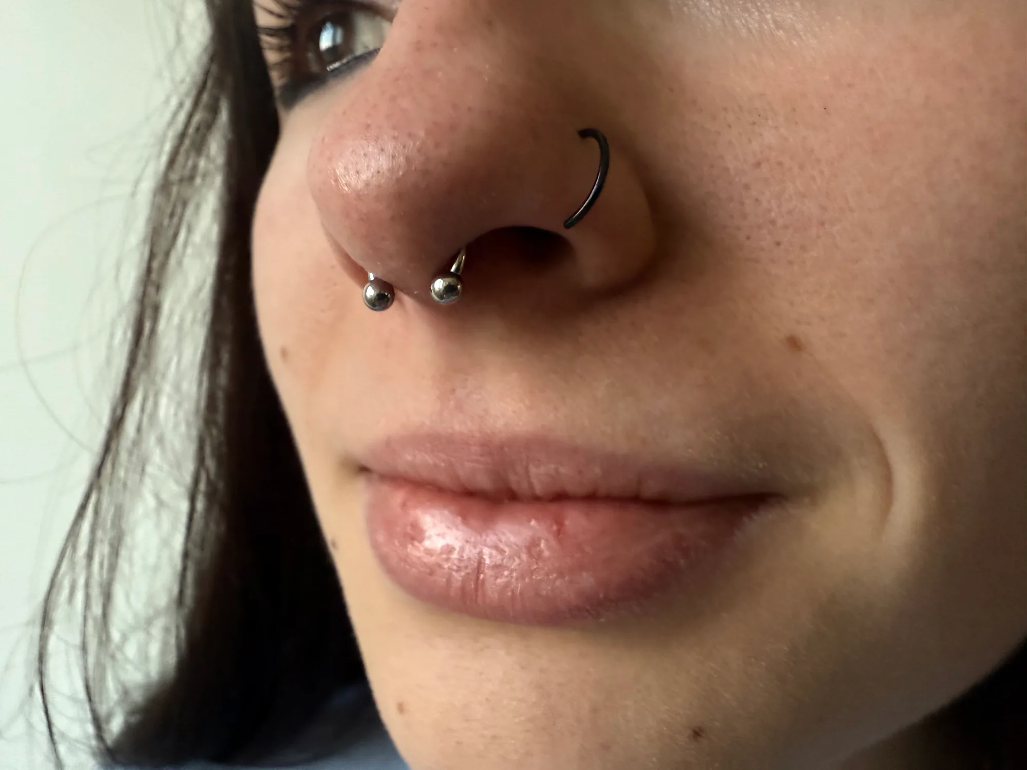 Septum